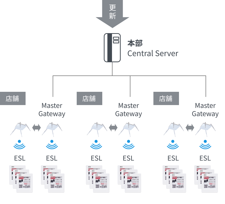 複数拠点